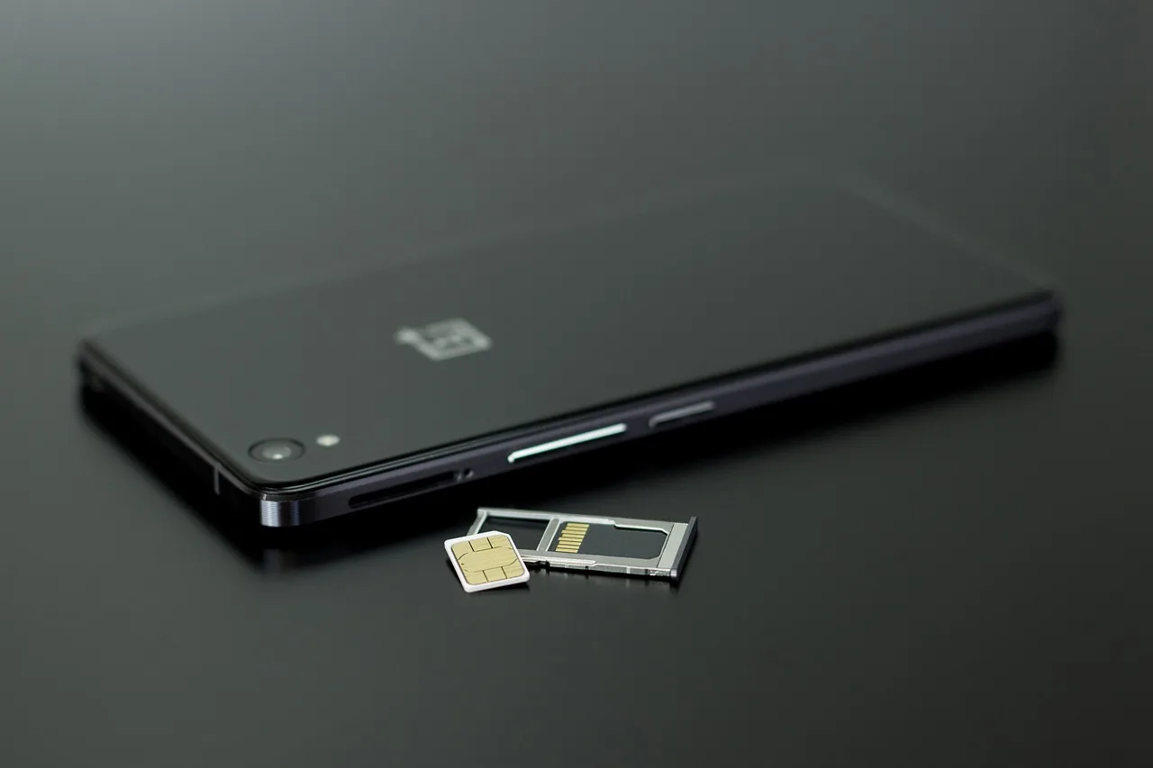 smartphone, technology, communication, phone, android, android phone, oneplusone smartphone, sim card, micro simcard, memory card, oneplus, gray technology, gray phone, gray mobile, gray community, gray communication, gray smartphone, gray telephone, gray memory, sim card, sim card, sim card, sim card, sim card, oneplus