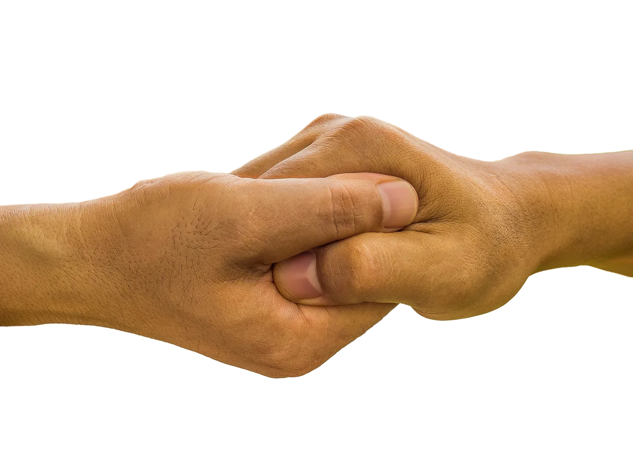 hands, palm in palm, hand, palm, greeting, meeting, gesture, human, people, help, icon, gesturing, help, help, help, help, help