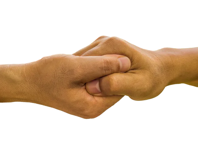 hands, palm in palm, hand, palm, greeting, meeting, gesture, human, people, help, icon, gesturing, help, help, help, help, help. Contratto di mandato con il fiduciario: regolamentare chiaramente questi punti